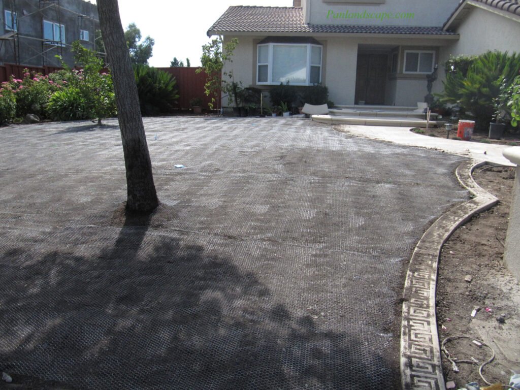 pan493